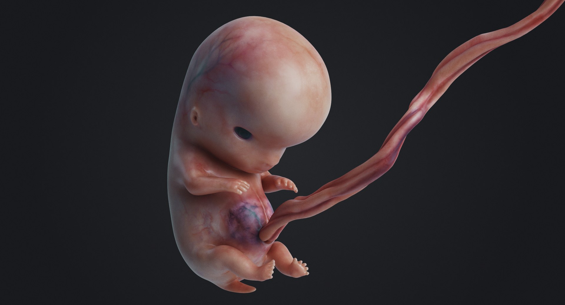 3D rigged animation https://p.turbosquid.com/ts-thumb/73/PBFtTI/PFJL4IYF/rakursu_0008/jpg/1559818060/1920x1080/fit_q87/09a9b751ee2f4b25571784a30ab1c7bbdbea337a/rakursu_0008.jpg