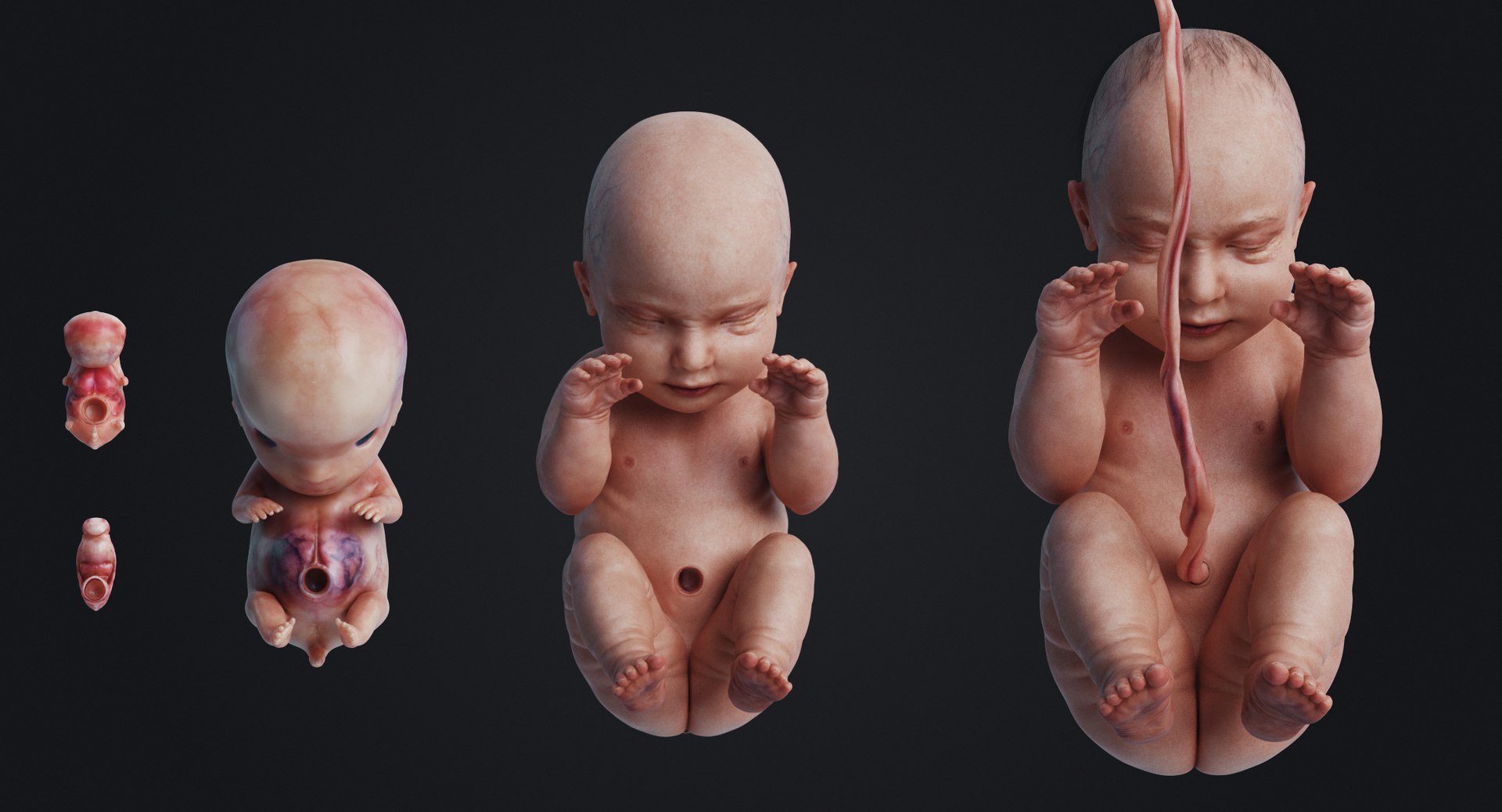 3D rigged animation https://p.turbosquid.com/ts-thumb/73/PBFtTI/PS9kv6SL/human_0006/jpg/1559817798/1920x1080/fit_q87/121eacf10c71eecf95a537c6d97564b82fec8f5c/human_0006.jpg