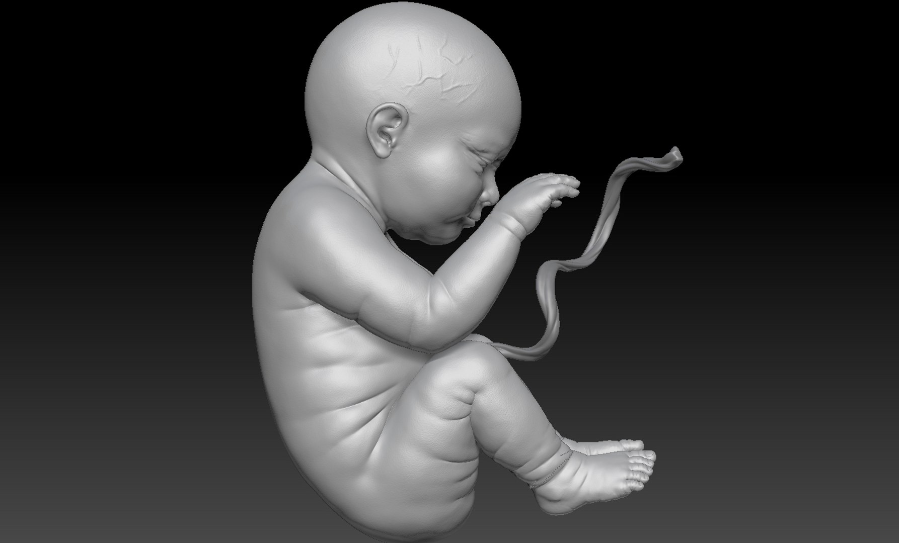 3D rigged animation https://p.turbosquid.com/ts-thumb/73/PBFtTI/PXm4vQJ6/humanembryo_11/jpg/1559820098/1920x1080/fit_q87/6e11d2d8234ca5435ec6382ab197134c7561c3cd/humanembryo_11.jpg