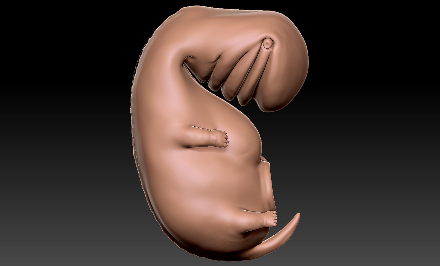 3D rigged animation https://p.turbosquid.com/ts-thumb/73/PBFtTI/RiUgwVEw/humanembryo_3/jpg/1559820097/1920x1080/fit_q87/60833aa8fc7375207e635c62a7a00dcbdbc938e9/humanembryo_3.jpg