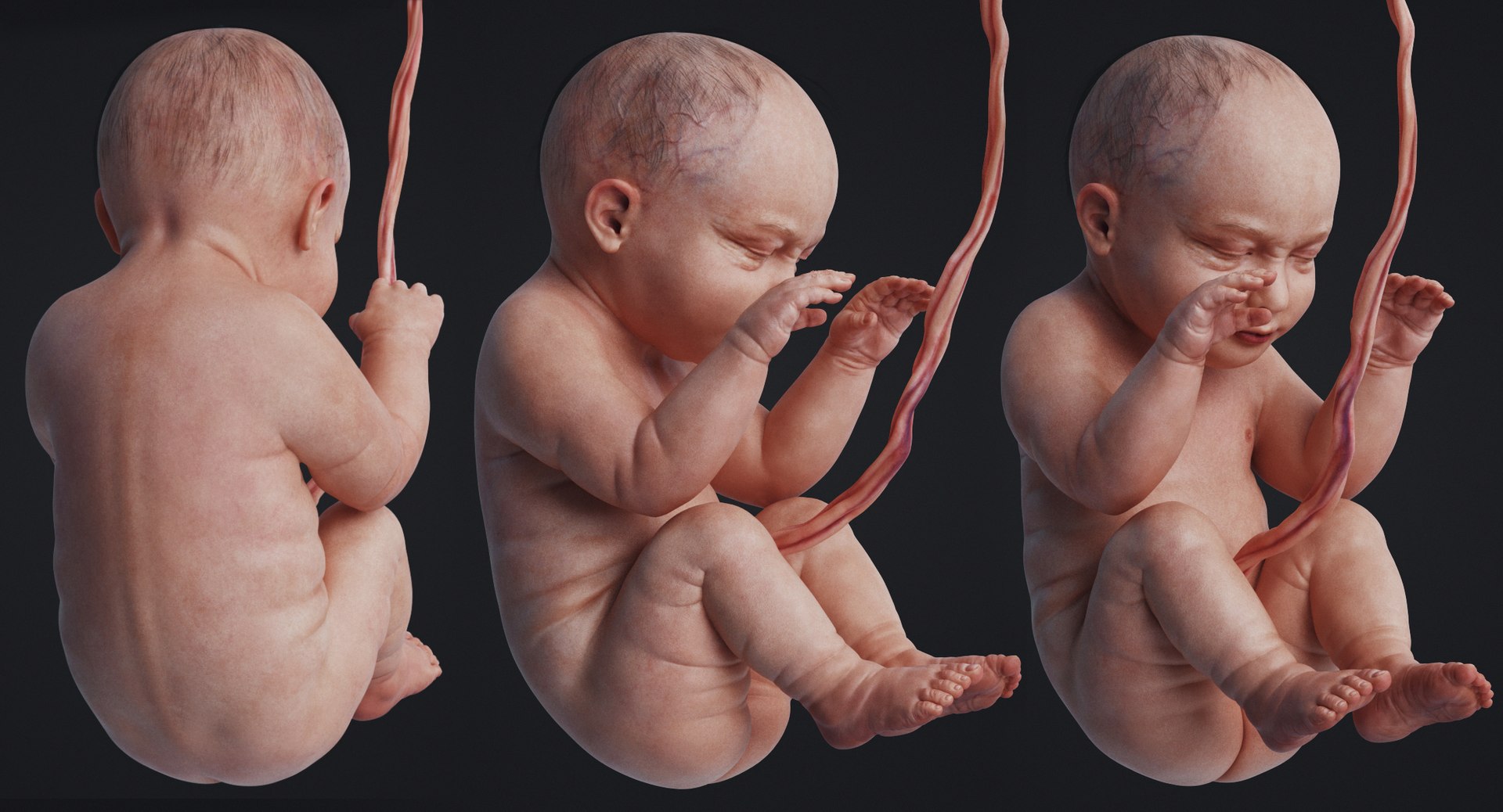 3D rigged animation https://p.turbosquid.com/ts-thumb/73/PBFtTI/UwZAv7iu/human_0007/jpg/1559817798/1920x1080/fit_q87/400ceb06c9a76d1a7457219fb60059a869efaba7/human_0007.jpg