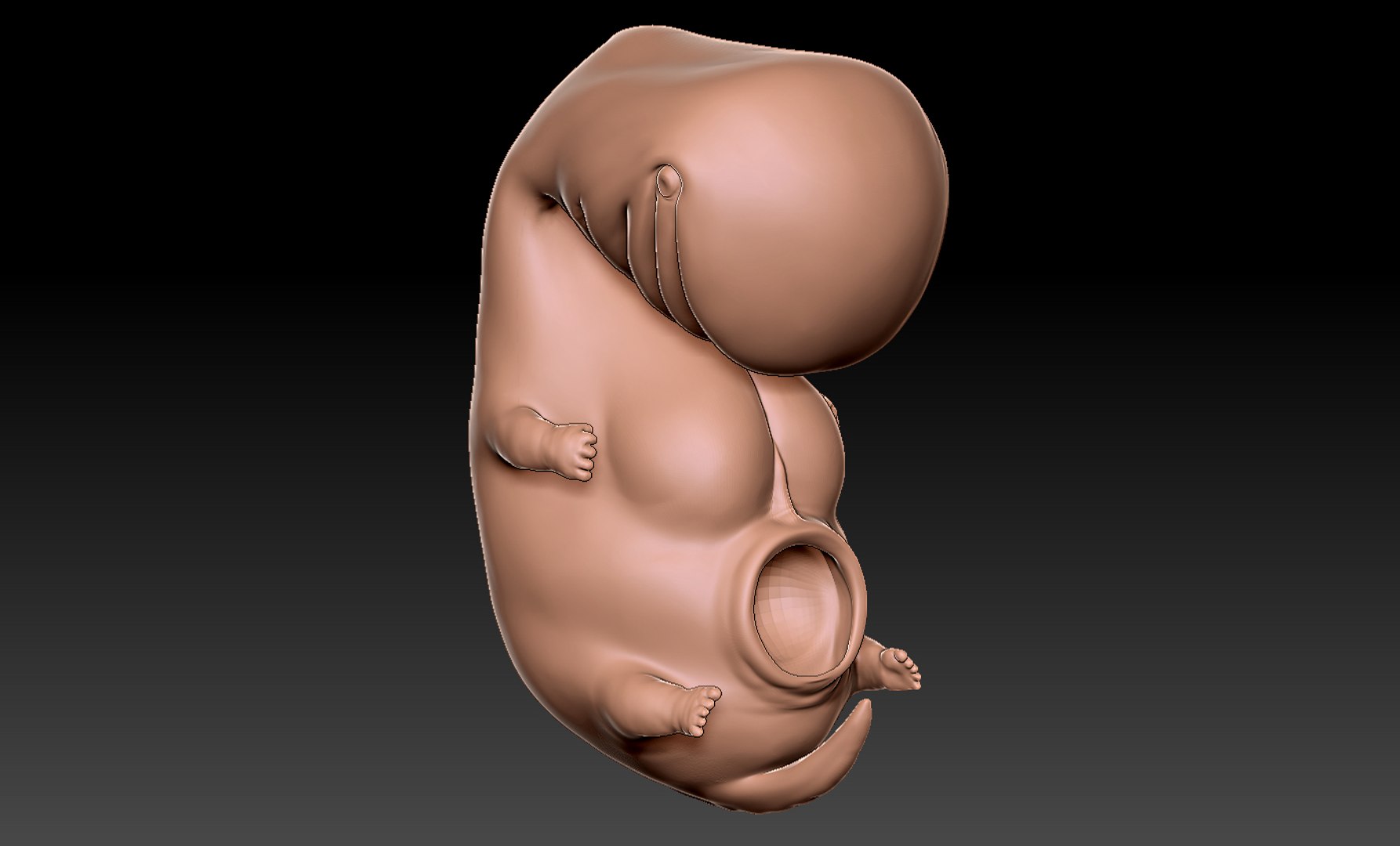 3D rigged animation https://p.turbosquid.com/ts-thumb/73/PBFtTI/VaD6jzGS/humanembryo_4/jpg/1559820097/1920x1080/fit_q87/11b4540e5fee12200805da35506985ee61f42ac4/humanembryo_4.jpg