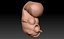 Human Embryo Fetus Animated
