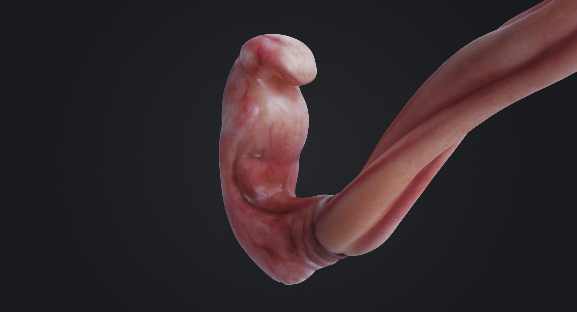 3D rigged animation https://p.turbosquid.com/ts-thumb/73/PBFtTI/WTxaPxJ4/rakursu_0001/jpg/1559818059/1920x1080/fit_q87/c6f8d924db5be668ea0968f13bdd80c0df0240a8/rakursu_0001.jpg