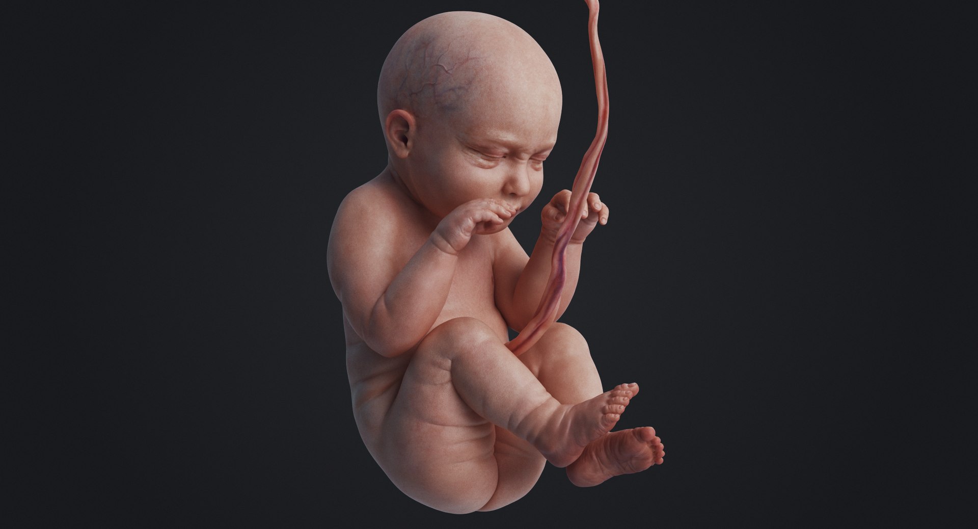 3D rigged animation https://p.turbosquid.com/ts-thumb/73/PBFtTI/Xo1rR0D3/rakursu_0013/jpg/1559818060/1920x1080/fit_q87/0b0c732e7da30bbfb8d0a1e4b88923d6217f458a/rakursu_0013.jpg