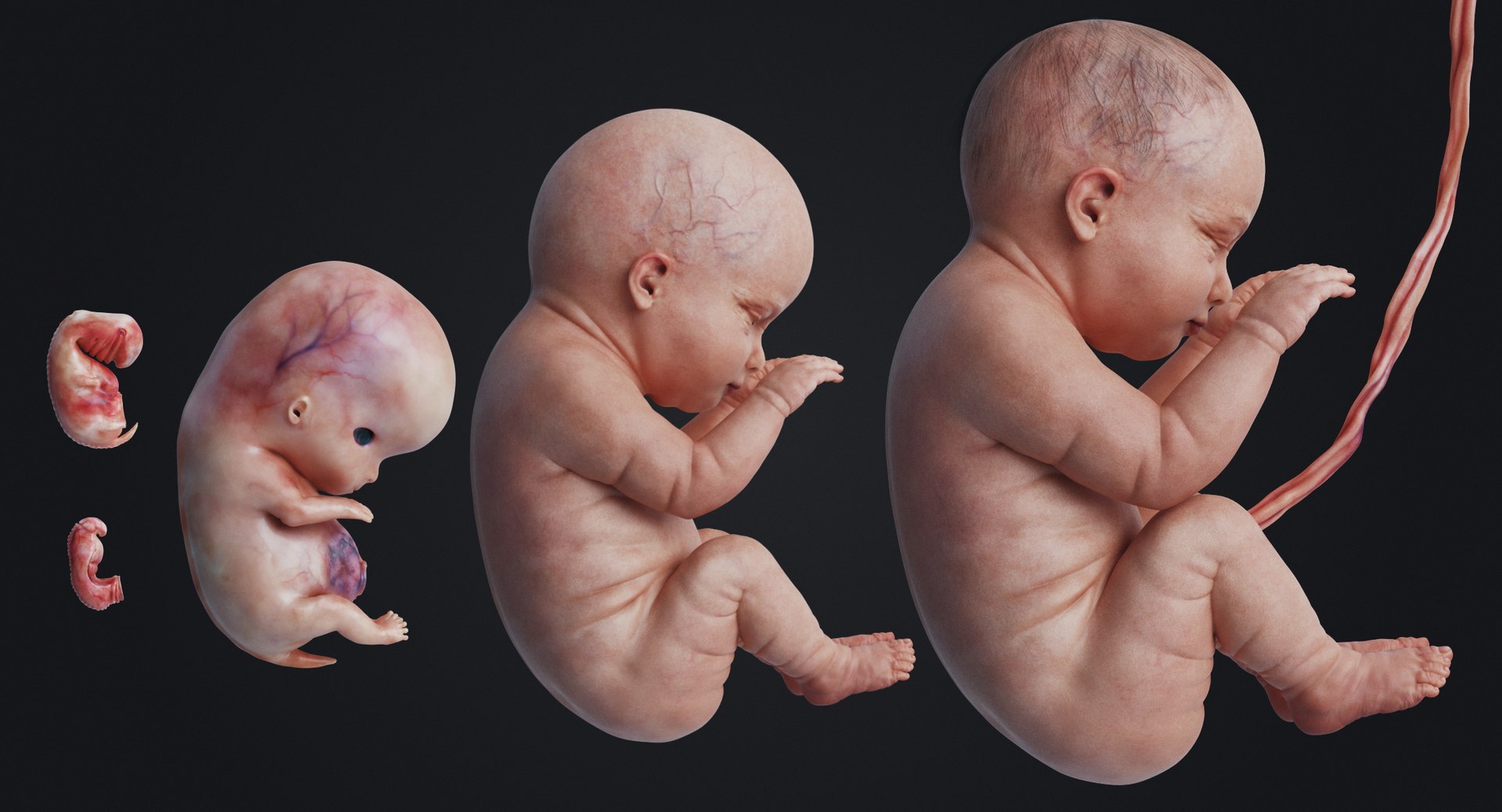 3D rigged animation https://p.turbosquid.com/ts-thumb/73/PBFtTI/e3iF7yAc/human_0003/jpg/1559817797/1920x1080/fit_q87/6a9f241c014229049db5d60a8f0c4325bcb8ee5e/human_0003.jpg