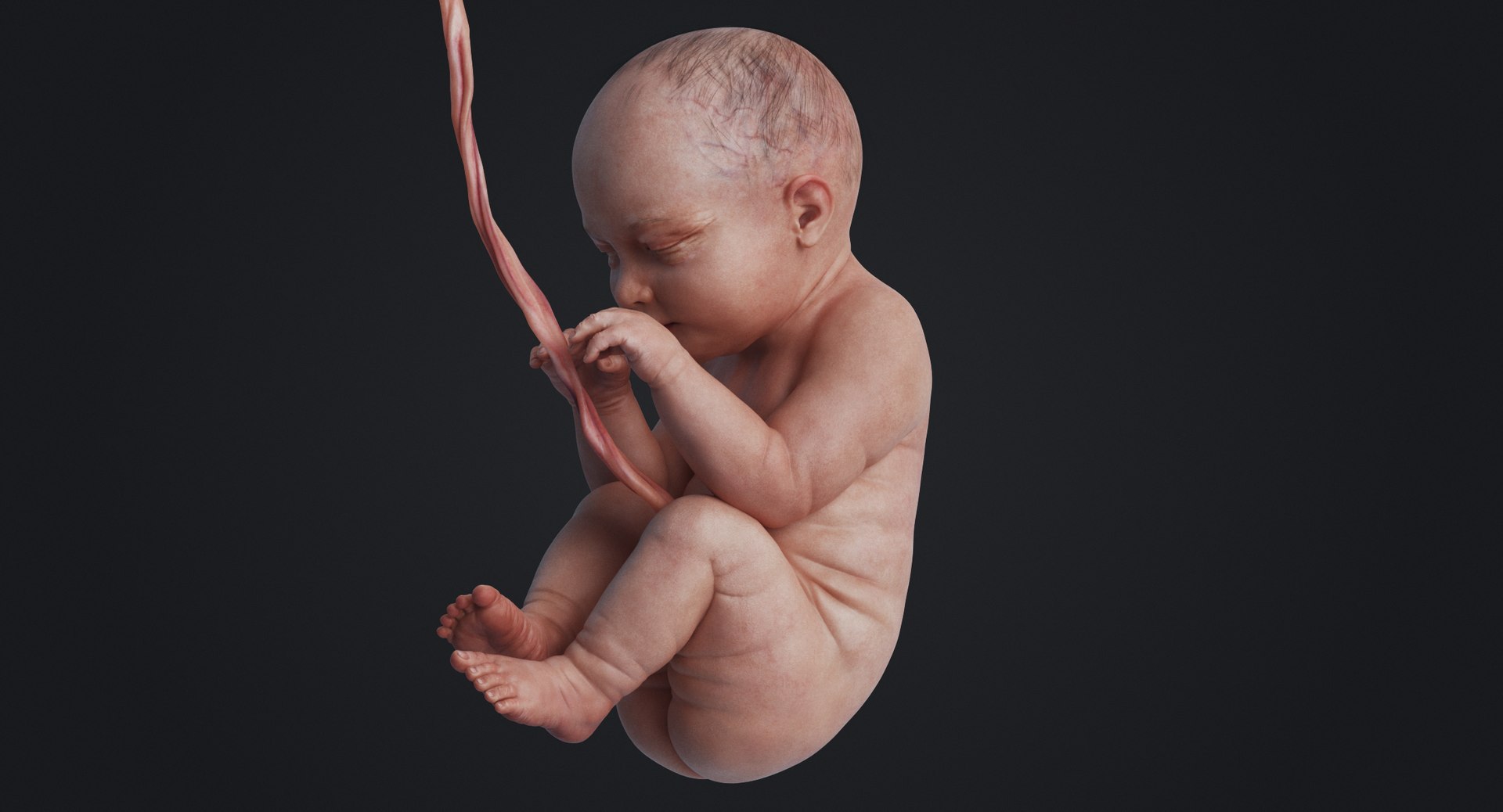 3D rigged animation https://p.turbosquid.com/ts-thumb/73/PBFtTI/gFoyzdDw/rakursu_0017/jpg/1559818060/1920x1080/fit_q87/45ee28cfd20fa3dd8102268eb93a3f15ea3c6c28/rakursu_0017.jpg