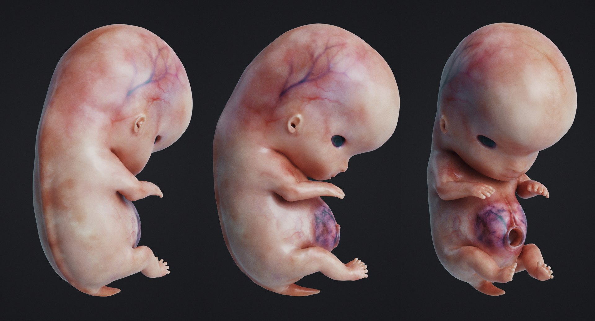 3D rigged animation https://p.turbosquid.com/ts-thumb/73/PBFtTI/kEw3RJSU/human_0009/jpg/1559817798/1920x1080/fit_q87/e22bb80ea7cfe11db839fb8c0a25f586271c3519/human_0009.jpg