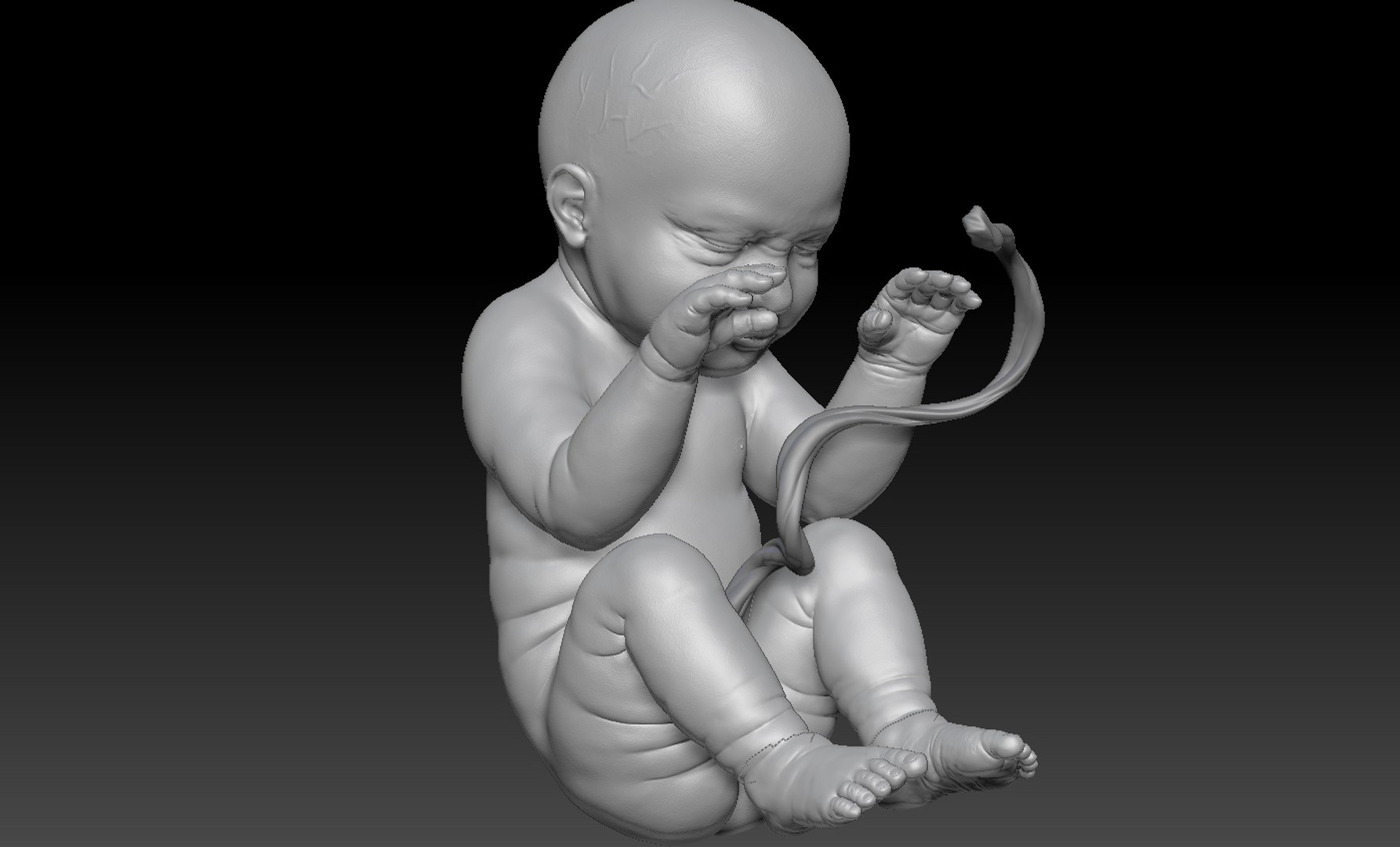 3D rigged animation https://p.turbosquid.com/ts-thumb/73/PBFtTI/lwwR7s3y/humanembryo_9/jpg/1559820098/1920x1080/fit_q87/55dfb3e47192bcd01769572716ecb74017602dd6/humanembryo_9.jpg