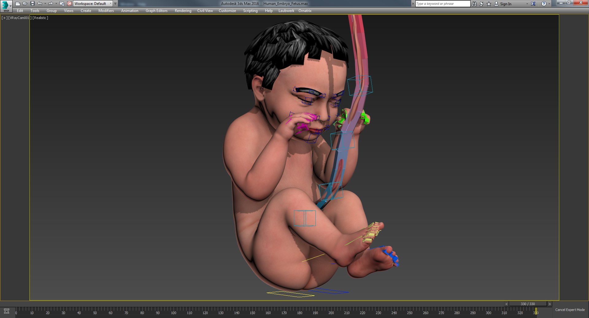 3D rigged animation https://p.turbosquid.com/ts-thumb/73/PBFtTI/mXXJcnMg/humanembryofetus_screen_2/jpg/1559820189/1920x1080/fit_q87/764cffcafb16497cb2fdd1be8c79c2cb161d07d3/humanembryofetus_screen_2.jpg
