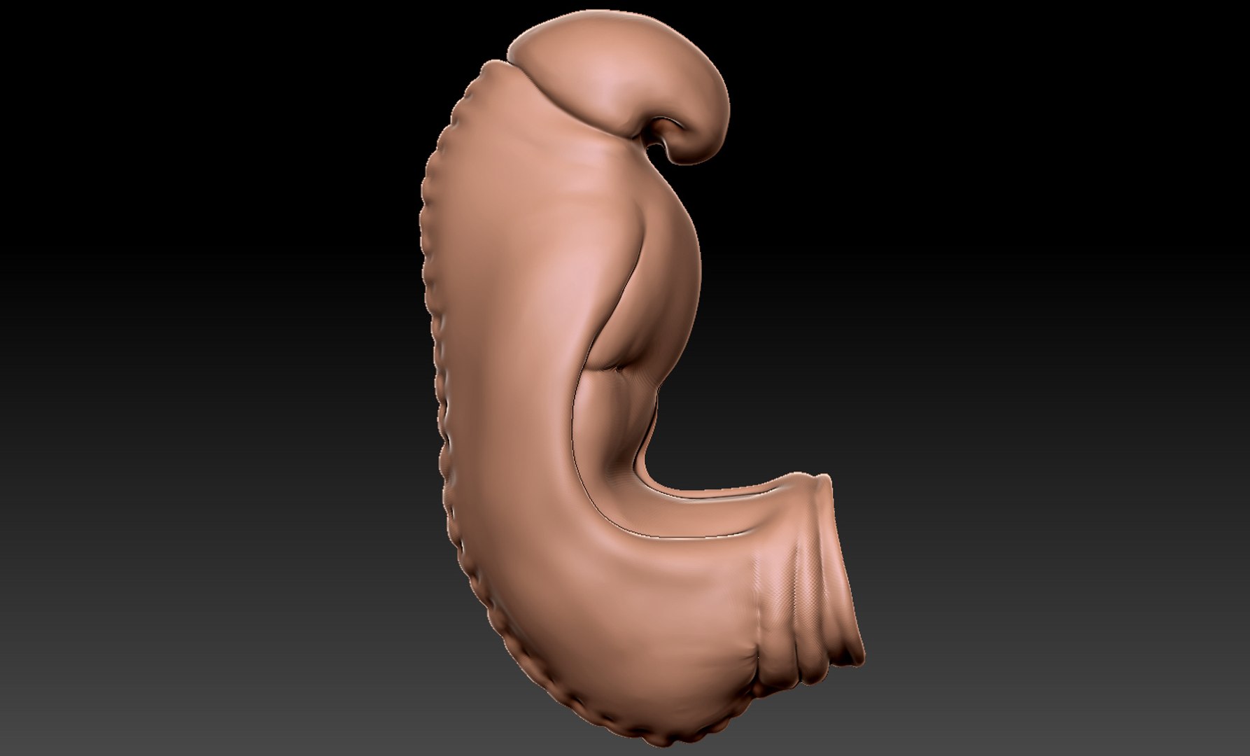 3D rigged animation https://p.turbosquid.com/ts-thumb/73/PBFtTI/nkm5vmDq/humanembryo_7/jpg/1559820098/1920x1080/fit_q87/b8808ed91f9240d6bca4a222080858057c5f003d/humanembryo_7.jpg