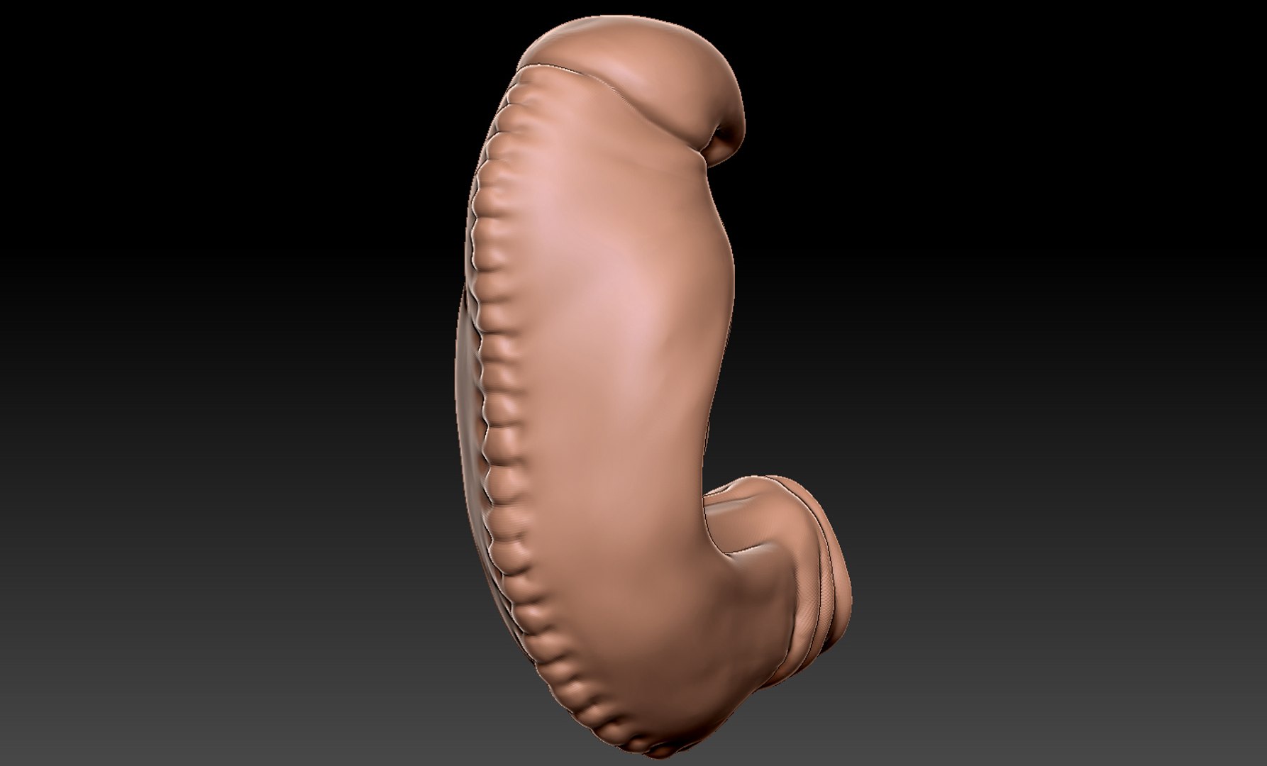 3D rigged animation https://p.turbosquid.com/ts-thumb/73/PBFtTI/ob4dZCjZ/humanembryo_6/jpg/1559820098/1920x1080/fit_q87/1b59d80bdf0e5302bf9b22f57db5752ad1c1a596/humanembryo_6.jpg