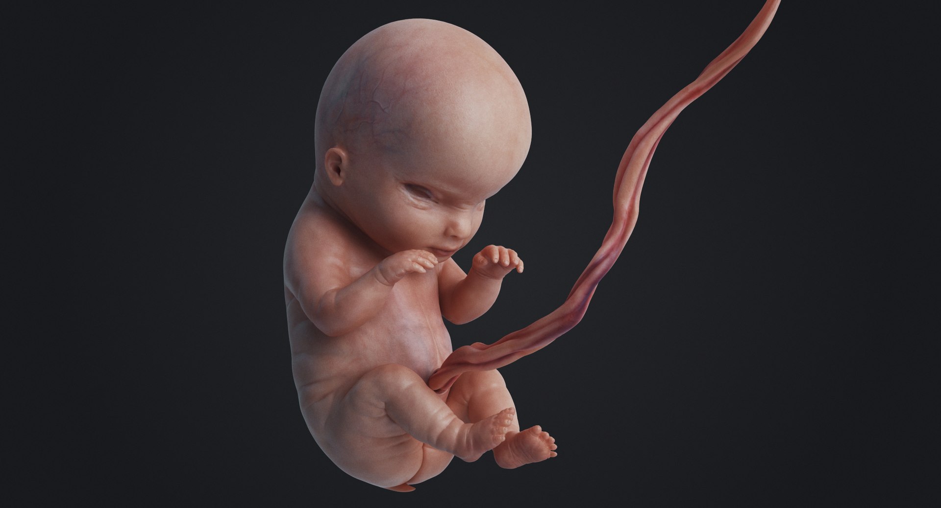 3D rigged animation https://p.turbosquid.com/ts-thumb/73/PBFtTI/pAtdeyVb/rakursu_0010/jpg/1559818060/1920x1080/fit_q87/3535502d2efe4ed833fc22c79f6e1803fee6beb7/rakursu_0010.jpg