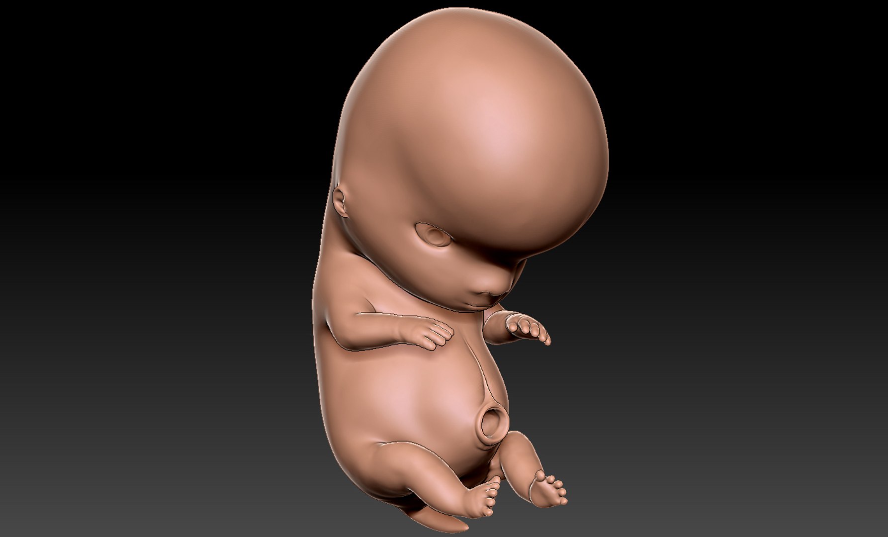 3D rigged animation https://p.turbosquid.com/ts-thumb/73/PBFtTI/yMR8wELg/humanembryo_2/jpg/1559820097/1920x1080/fit_q87/0dc5a2f70924ddecb38239ef5b776da6dea856ec/humanembryo_2.jpg