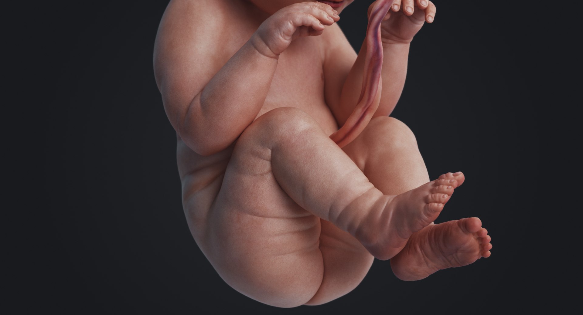 3D rigged animation https://p.turbosquid.com/ts-thumb/73/PBFtTI/zHroihtR/rakursu_0026/jpg/1559818061/1920x1080/fit_q87/cbc56f21fcabce5ab96f00326aacdf97f43c6f7e/rakursu_0026.jpg