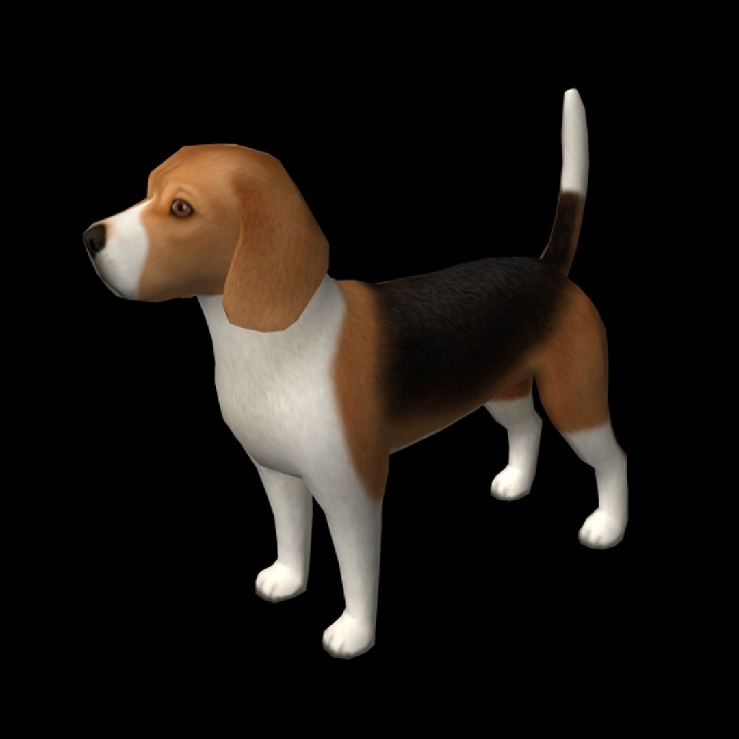 3d Beagle Edge Model