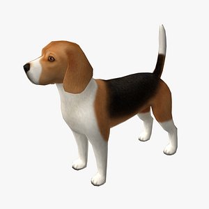 3d beagle edge model