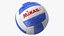 Mikasa Volleyball Ball