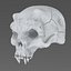 Creature Skull