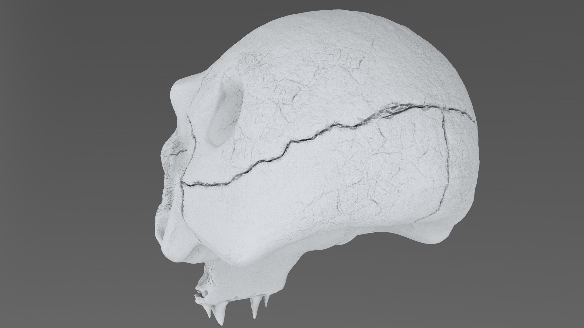 3D model concepts creature skull https://p.turbosquid.com/ts-thumb/73/hPtj42/1eQ4vxqT/creature_skull_cd0005/jpg/1594848094/1920x1080/fit_q87/59a84547858958cdccb600347044906a0f10a82c/creature_skull_cd0005.jpg