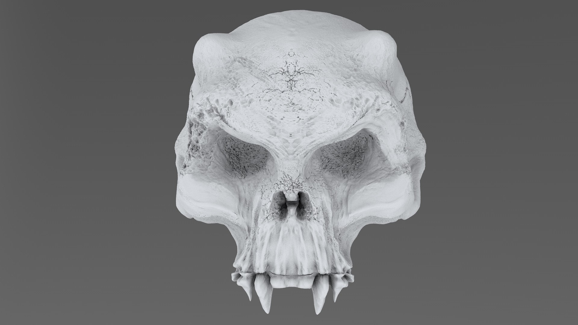 3D model concepts creature skull https://p.turbosquid.com/ts-thumb/73/hPtj42/5ZLBtyQ1/creature_skull_cd0001/jpg/1594848063/1920x1080/fit_q87/4d255f0b67f08d01eb31f0bbe28d42661feb715d/creature_skull_cd0001.jpg