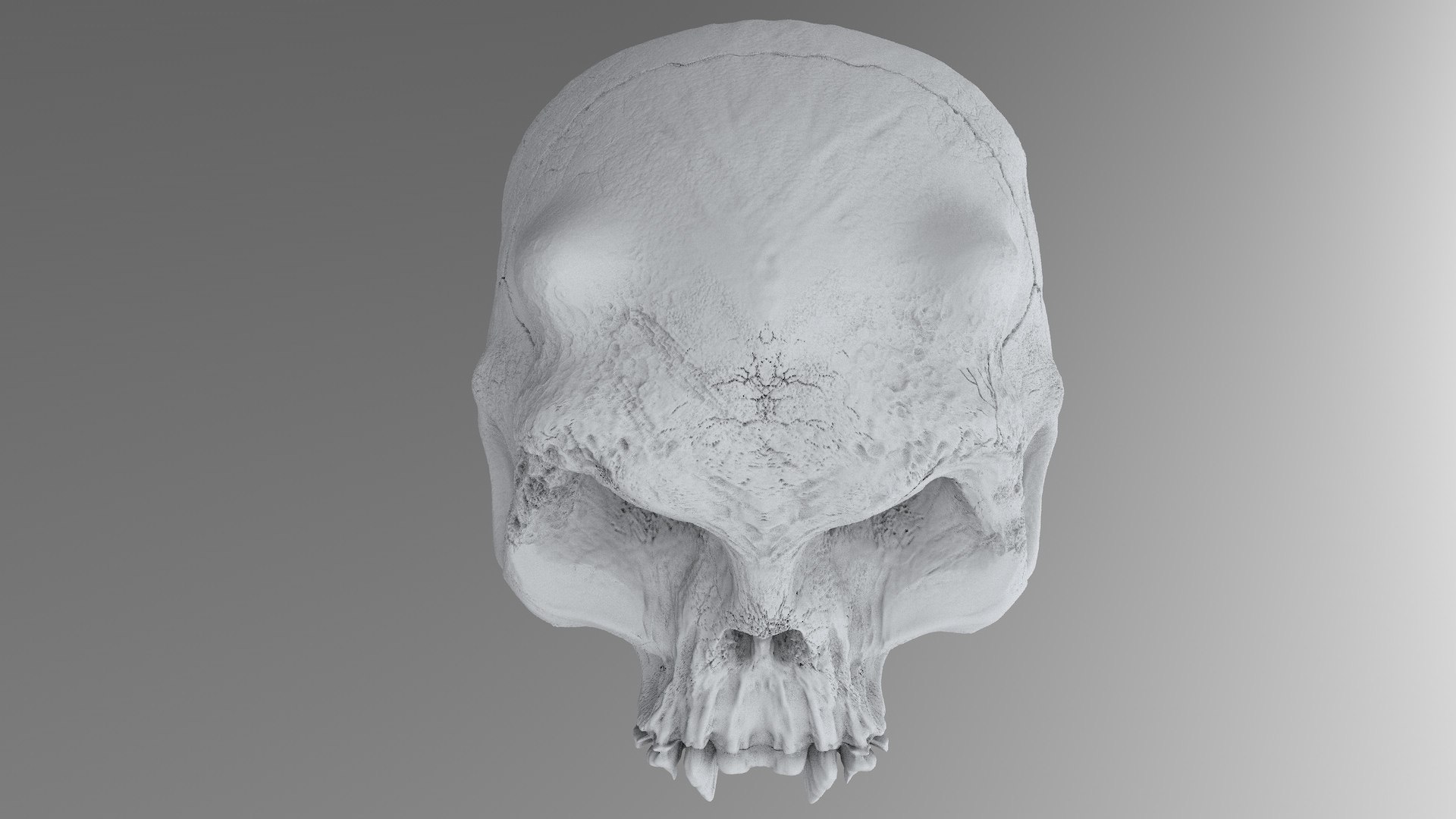 3D model concepts creature skull https://p.turbosquid.com/ts-thumb/73/hPtj42/6VbfuGhs/creature_skull_cd0008/jpg/1594848112/1920x1080/fit_q87/330739d2b30776a030669bfdd6f0a2493395c112/creature_skull_cd0008.jpg