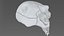 Creature Skull
