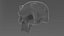 Creature Skull