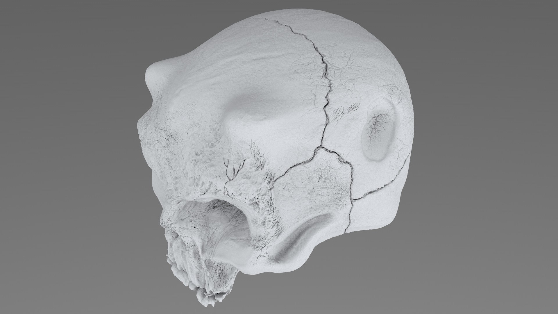 3D model concepts creature skull https://p.turbosquid.com/ts-thumb/73/hPtj42/W0pjhXdR/creature_skull_cd0007/jpg/1594848099/1920x1080/fit_q87/fcc30c8367cd35dbcdfa764a77aee8718a786a55/creature_skull_cd0007.jpg