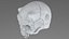Creature Skull