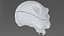 Creature Skull