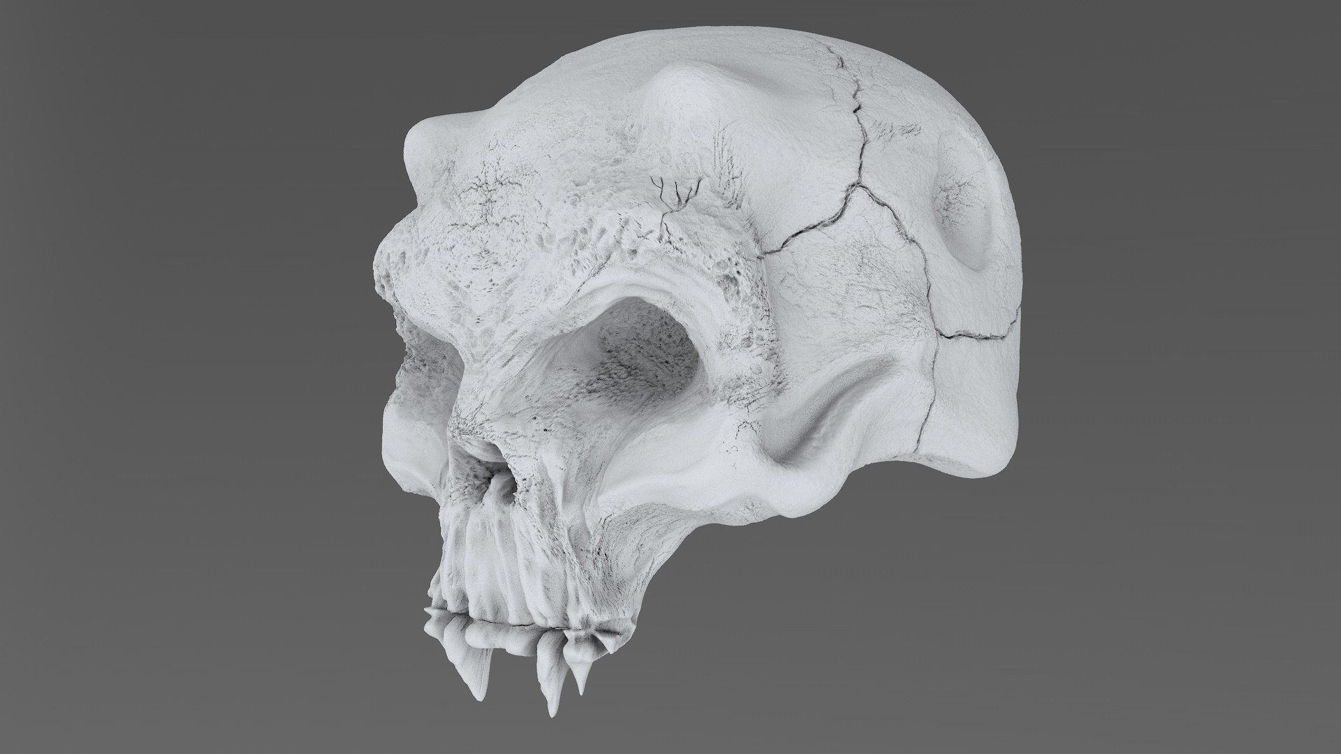 3D model concepts creature skull https://p.turbosquid.com/ts-thumb/73/hPtj42/nUEtmqdn/creature_skull_cd0000/jpg/1594848079/1920x1080/fit_q87/14525ea7148970854a82565a34756d3f44f64ae3/creature_skull_cd0000.jpg