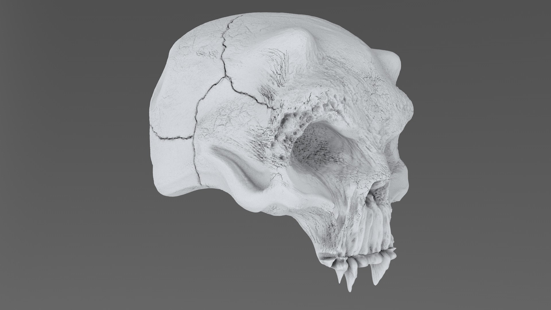 3D model concepts creature skull https://p.turbosquid.com/ts-thumb/73/hPtj42/xNlIAdlz/creature_skull_cd0002/jpg/1594848076/1920x1080/fit_q87/7fb7e301de83fd1fbe2f7f88b47d09f945eef7ad/creature_skull_cd0002.jpg