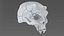 Creature Skull