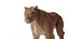 3D Puma model