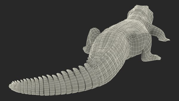 Crocodile eating animal rigged model - TurboSquid 1447338