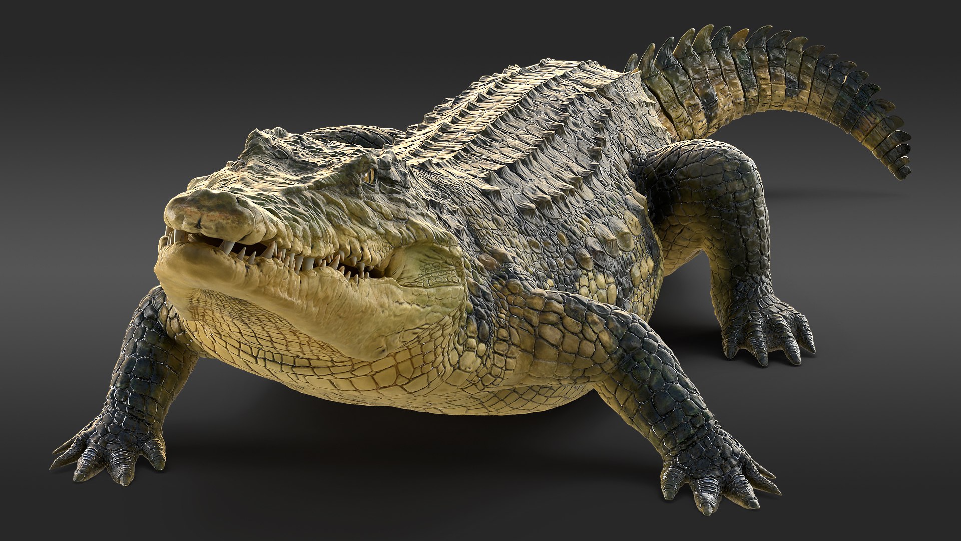 Crocodile Eating Animal Rigged Model - TurboSquid 1447338