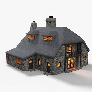 3D cottage thatched roof