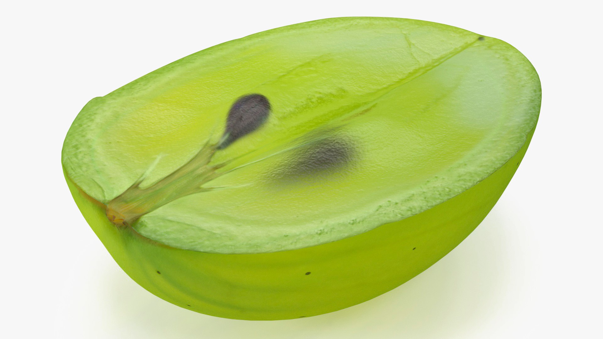 Translucent Slice of Green Grape Fruit 3D model preview