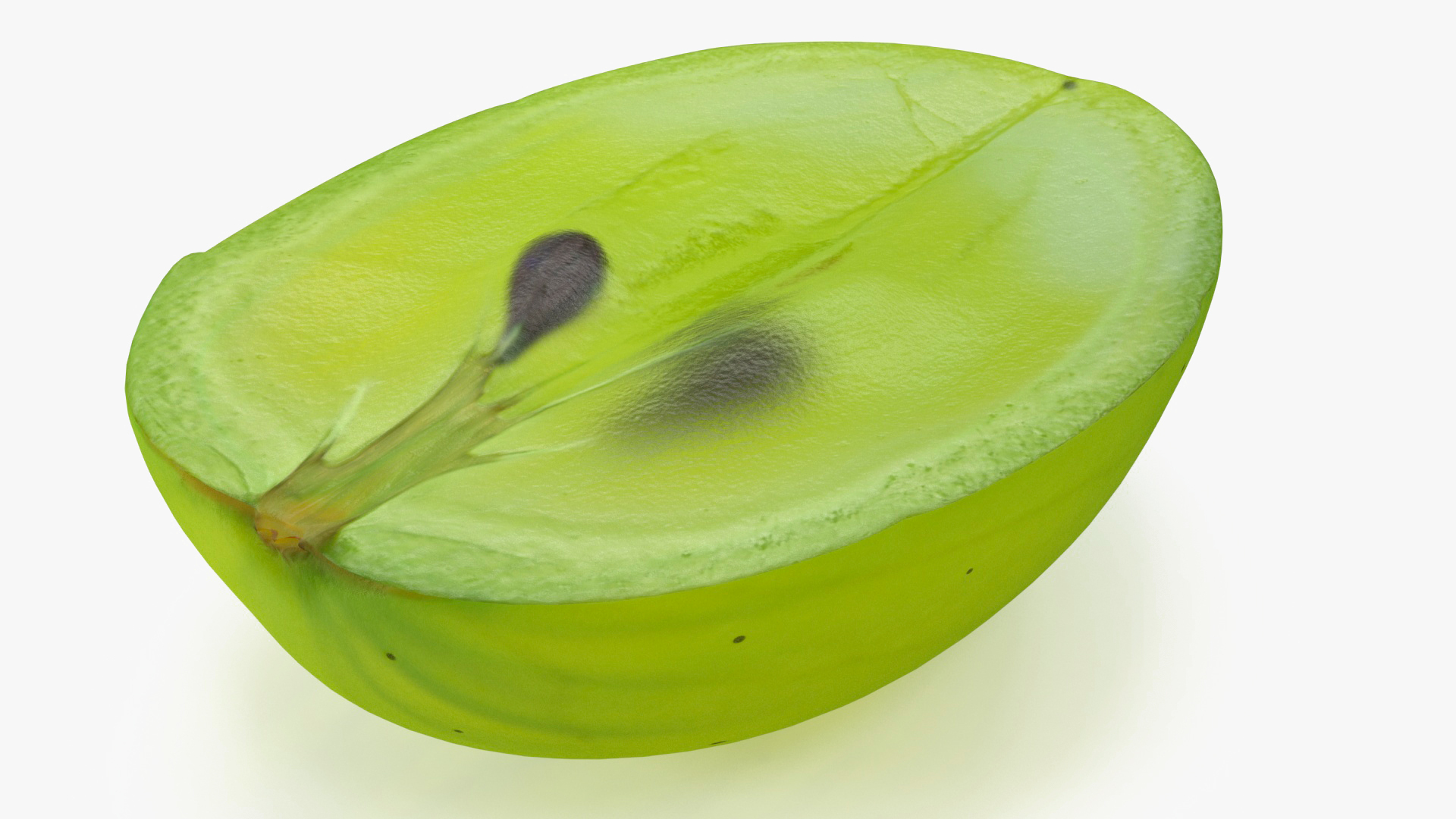 Translucent Slice Of Green Grape Fruit 3D Model TurboSquid 2127083