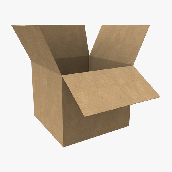 Open Cardboard Box 3D model