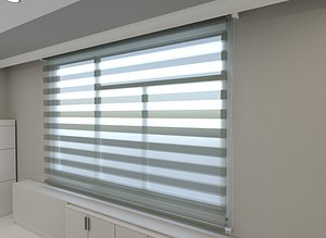 Zebra Roller Blinds Curtain