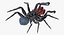 spiders camel argiope 3D model