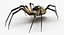 spiders camel argiope 3D model