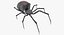 spiders camel argiope 3D model