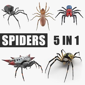 Spiders 3D Models Collection