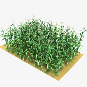 3d max corn field