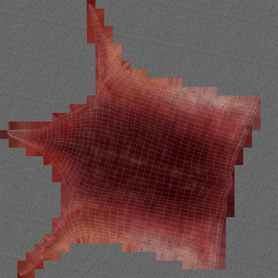 3D squid rigged - TurboSquid 1178827