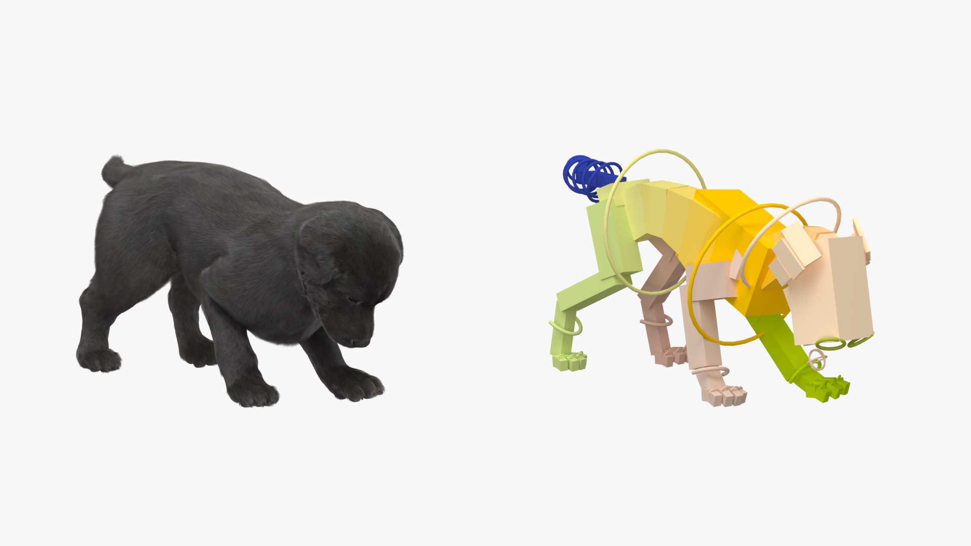 Labrador Pup Sniffing Trail Fur Animated Rigged 3D Model - TurboSquid ...