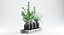 kitchen herbs 3D model